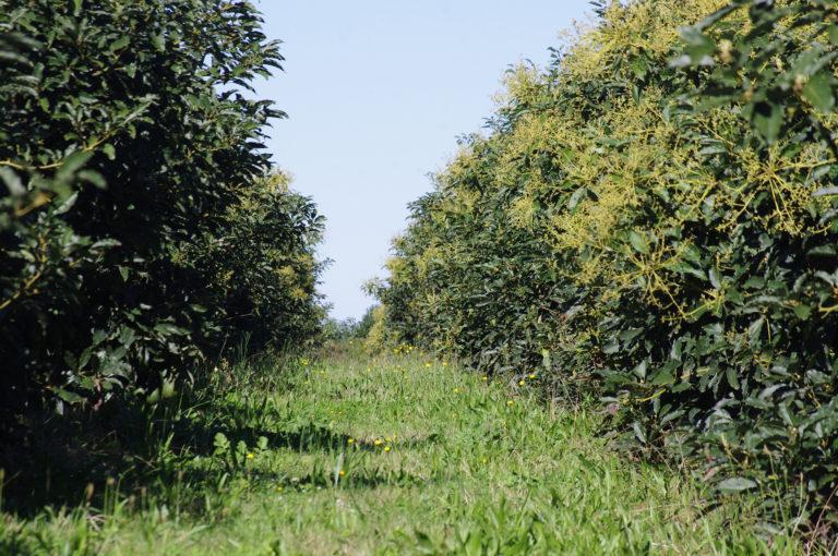 Waterford The Fruit Farm Group