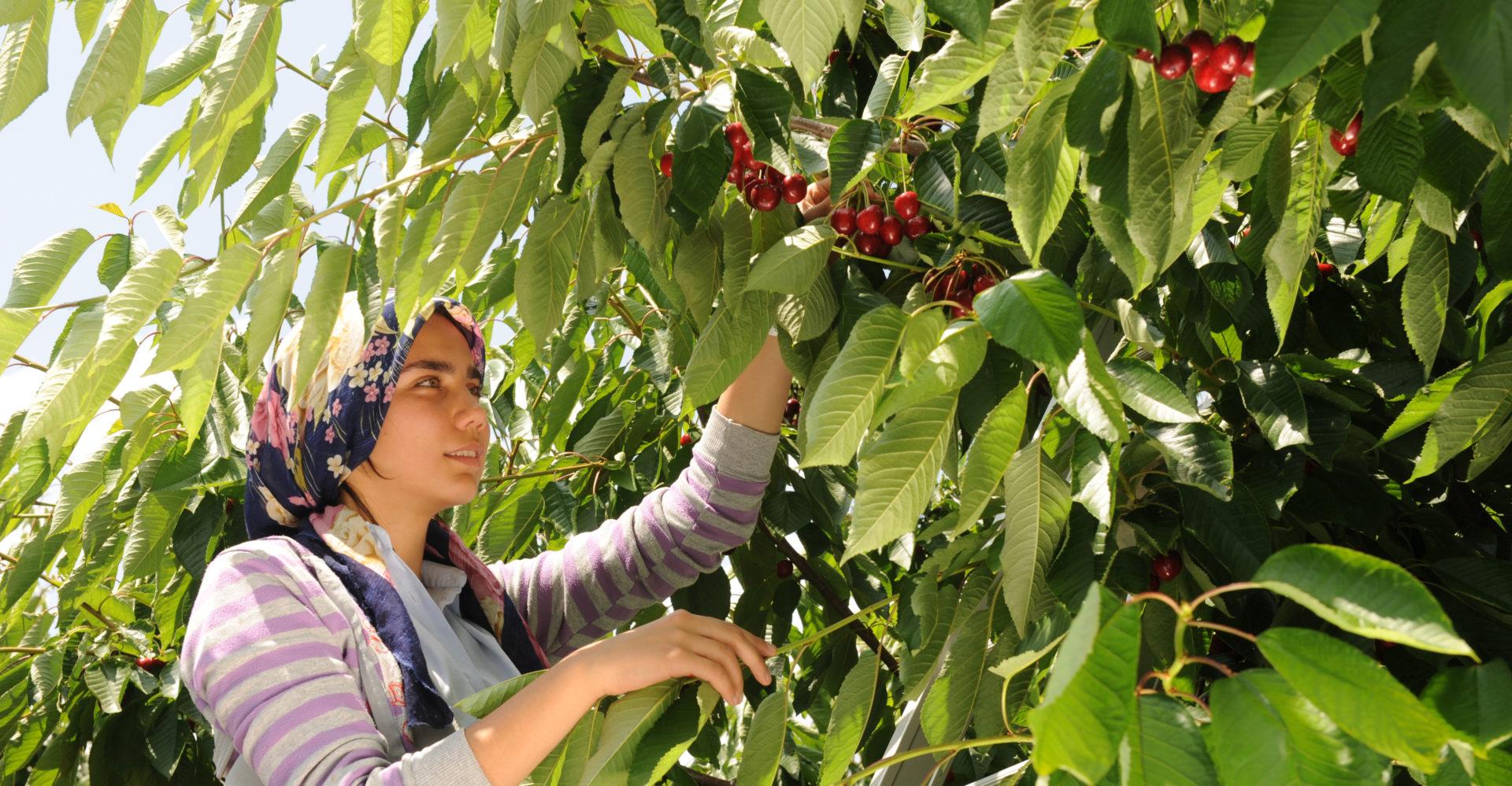 turkey-alara